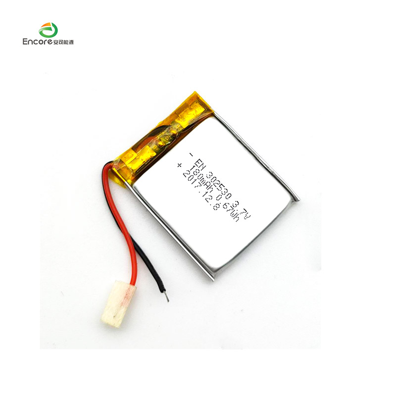 302530 Batteri